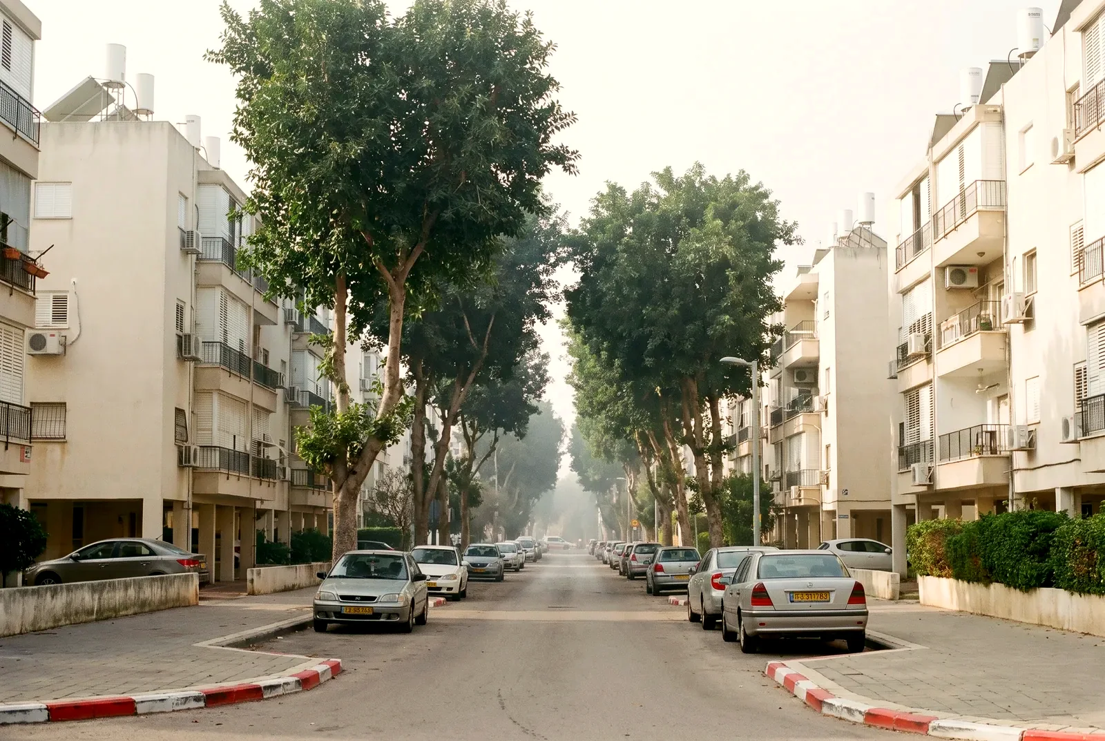 הדמיה: רחוב מגורים שקט ומסודר עם עצי פיקוס, בנייני דירות וחניה לאורך המדרכה