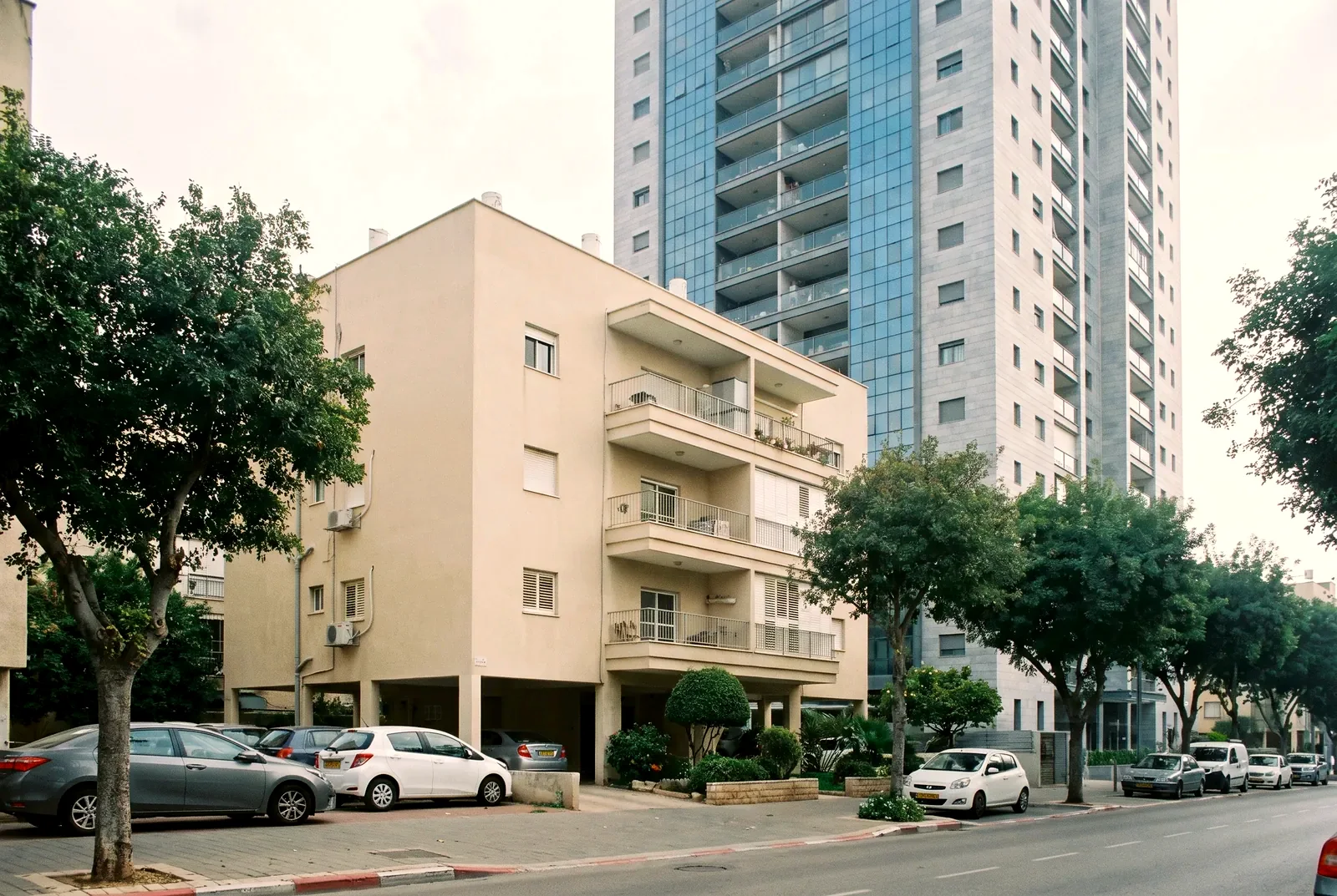הדמיה: בניין מגורים קטן ומטופח לצד מגדל מגורים חדש, ברחוב עם עצים