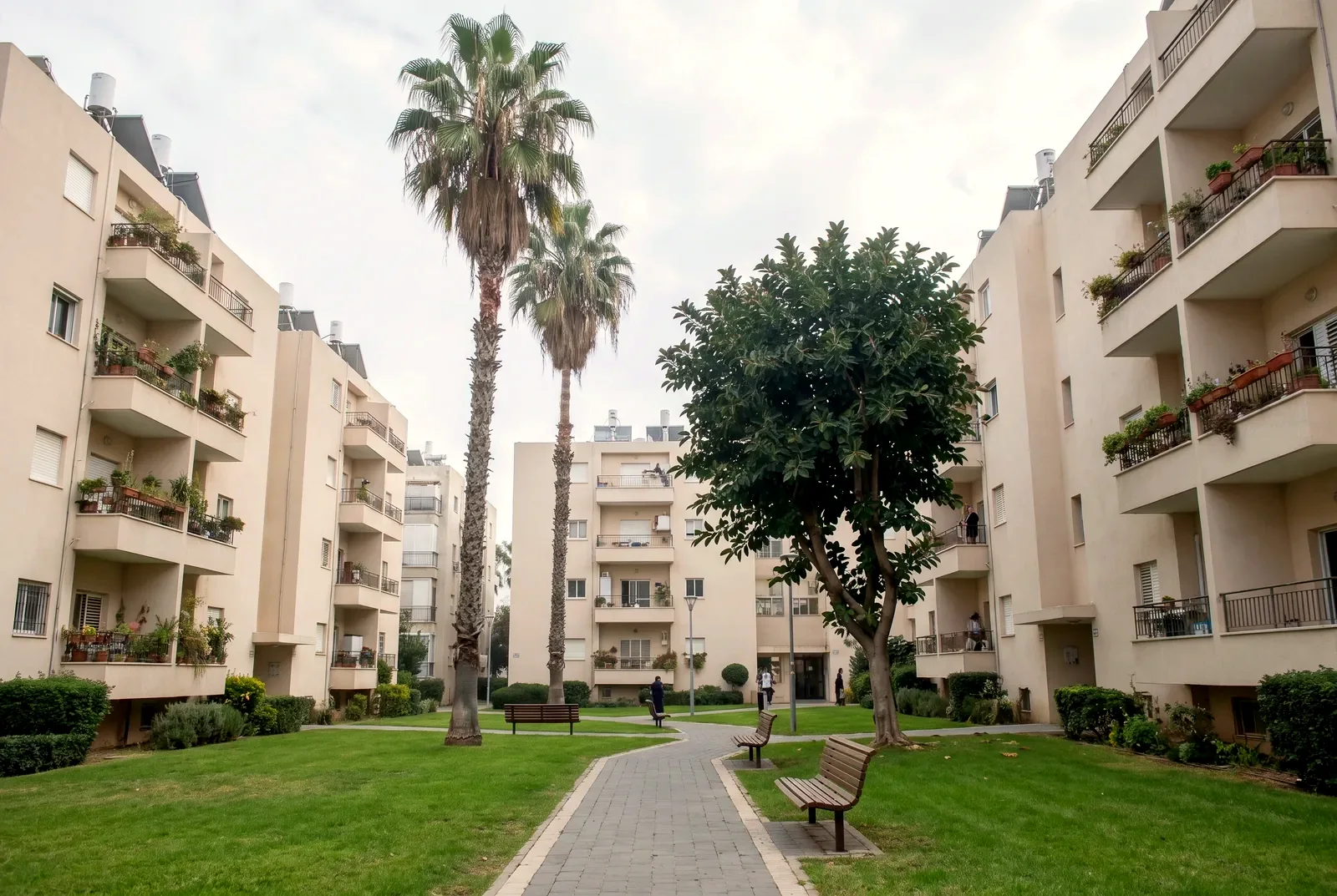 הדמיה: חצר מגוננת בין בנייני דירות עם דקלים, מדשאה ושביל.