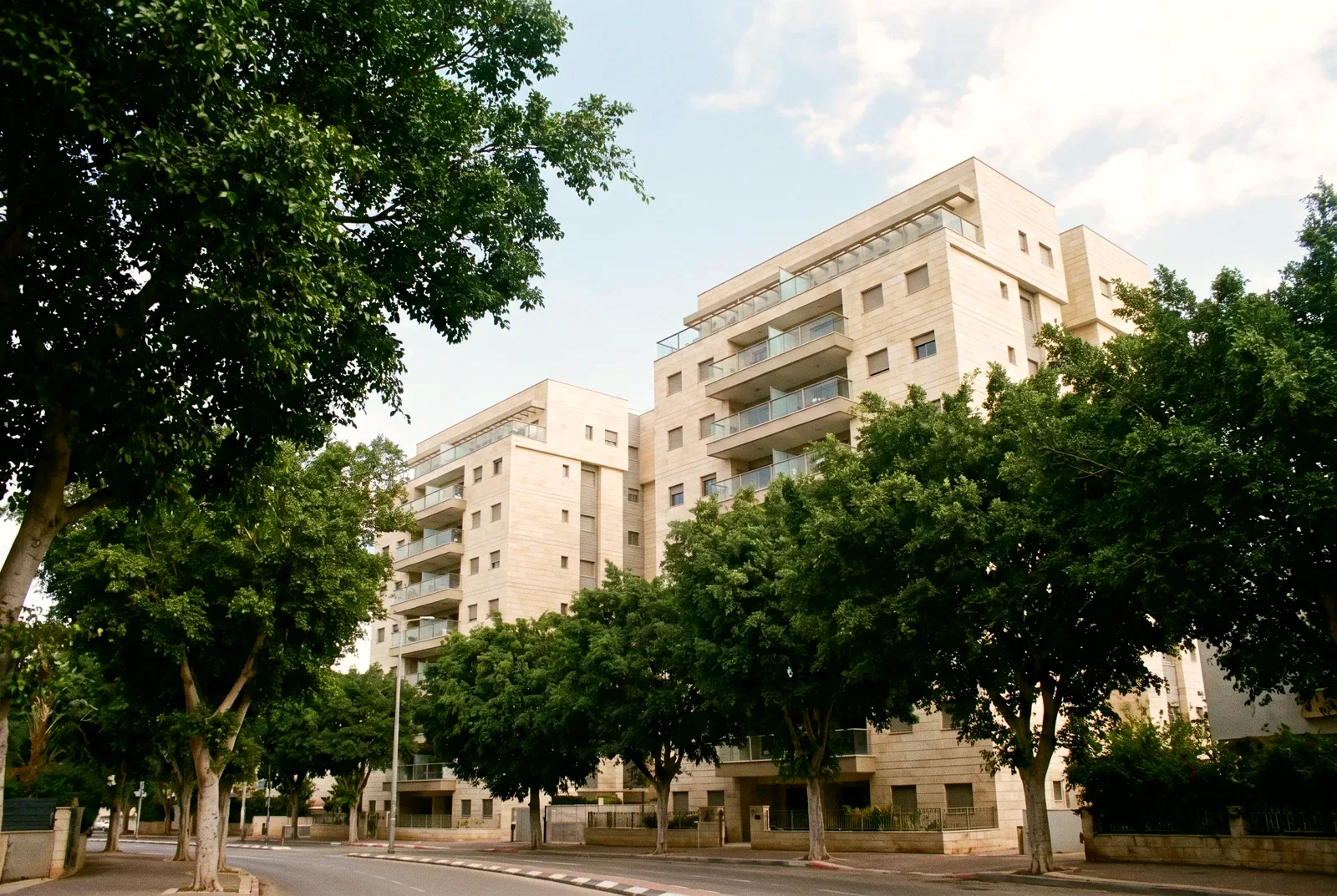 הדמיה: בנייני מגורים חדשים מאבן מאחורי עצי פיקוס בוגרים ושמיים בהירים עם עננים דקים