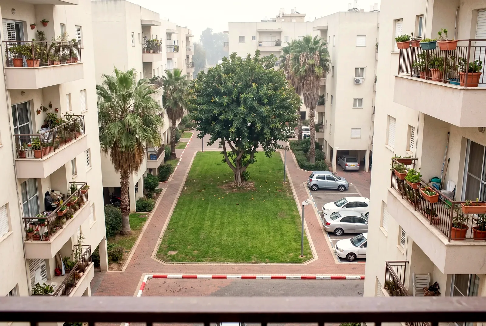 הדמיה: מבט ממרפסת אל חצר פנימית מסודרת בין בנייני דירות, עם דשא, עץ פיקוס ודקלים